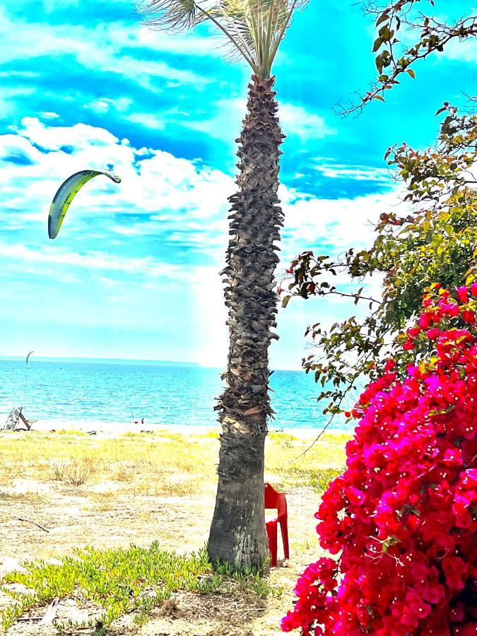 Windsurf Beach Front Torre Grande Kültér fotó